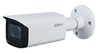 IP Cameras